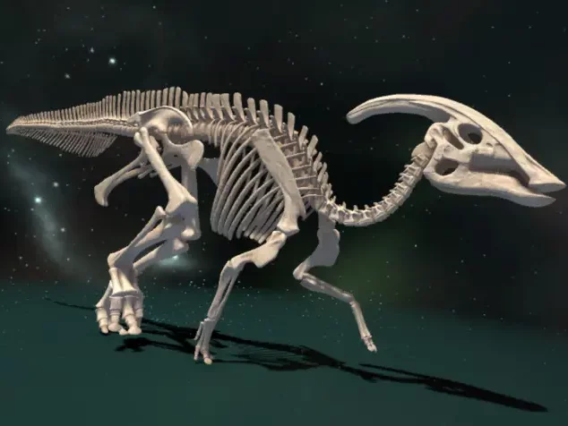 Capture-d’écran-2018-01-03-à-17.34.48