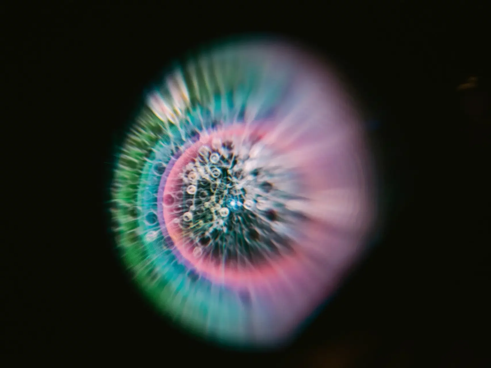 merlin_133500105_f541a5c0-6816-421f-8e93-4f463984de43-superJumbo